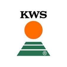 Насіння озимої пшениці ЕМІЛ KWS