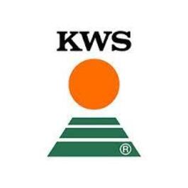 Насіння озимої пшениці ЕМІЛ KWS