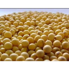 Насіння сої ВЕНУС під гербіцид 1 репродукція